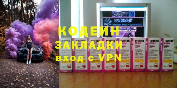 спиды Бикин