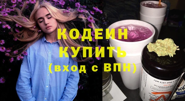прущий лед Нея