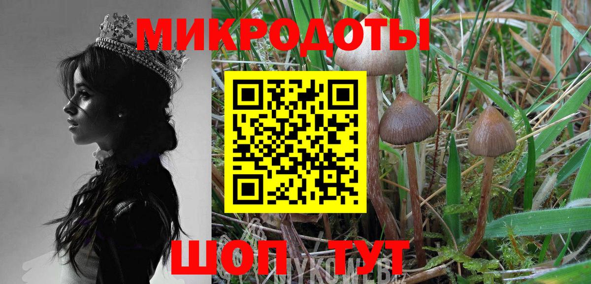 Псилоцибиновые грибы GOLDEN TEACHER  Псилоцибиновые грибы мухоморы  Вход с VPN  где можно купить   Кулебаки 