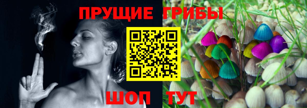 Галлюциногенные грибы MAGIC MUSHROOMS Кулебаки